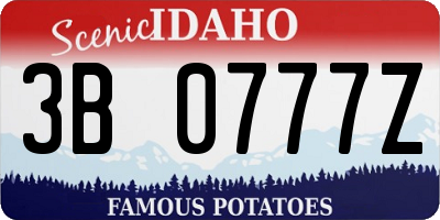 ID license plate 3B0777Z