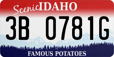 ID license plate 3B0781G