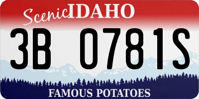 ID license plate 3B0781S