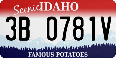 ID license plate 3B0781V