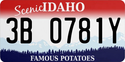 ID license plate 3B0781Y