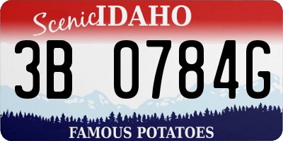 ID license plate 3B0784G
