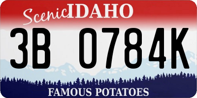 ID license plate 3B0784K