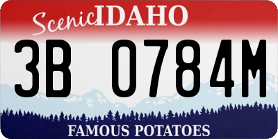 ID license plate 3B0784M