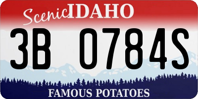 ID license plate 3B0784S