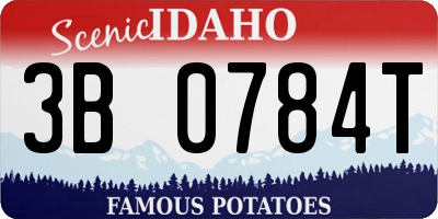 ID license plate 3B0784T