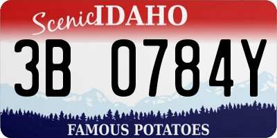 ID license plate 3B0784Y