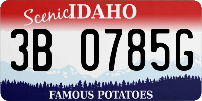 ID license plate 3B0785G