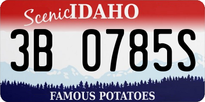ID license plate 3B0785S