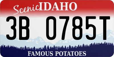 ID license plate 3B0785T