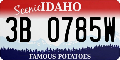 ID license plate 3B0785W