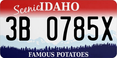 ID license plate 3B0785X