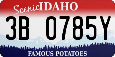 ID license plate 3B0785Y