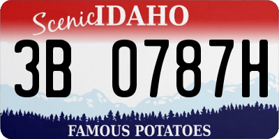 ID license plate 3B0787H
