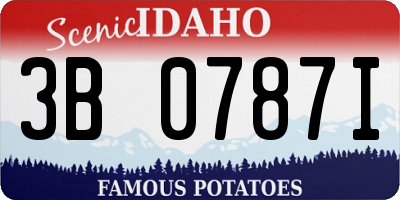 ID license plate 3B0787I