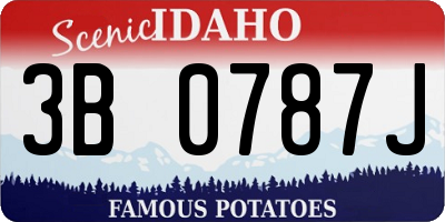 ID license plate 3B0787J