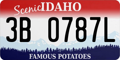 ID license plate 3B0787L