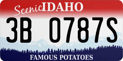 ID license plate 3B0787S