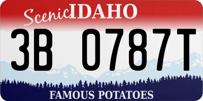 ID license plate 3B0787T