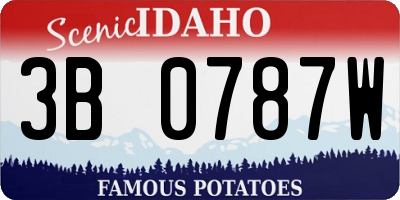 ID license plate 3B0787W