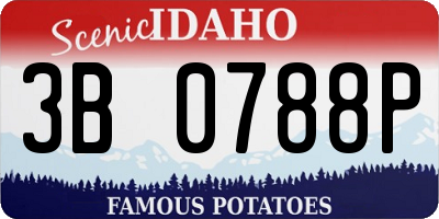 ID license plate 3B0788P