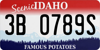 ID license plate 3B0789S