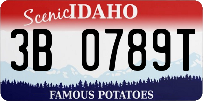 ID license plate 3B0789T