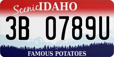 ID license plate 3B0789U