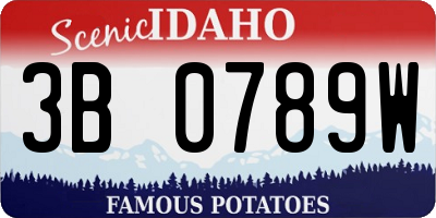ID license plate 3B0789W