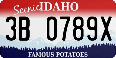 ID license plate 3B0789X