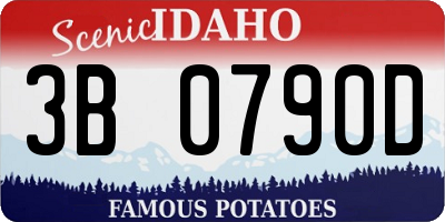 ID license plate 3B0790D