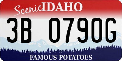 ID license plate 3B0790G