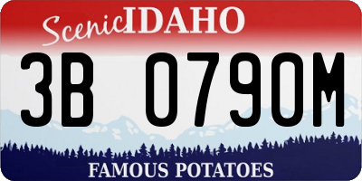 ID license plate 3B0790M