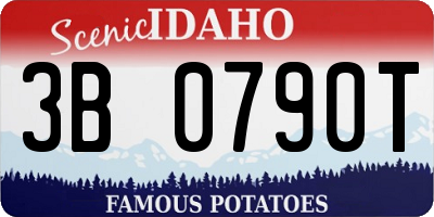 ID license plate 3B0790T
