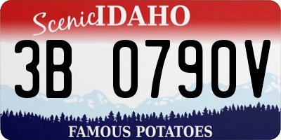 ID license plate 3B0790V