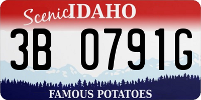 ID license plate 3B0791G