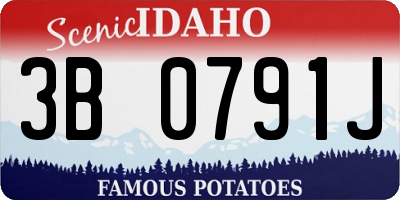 ID license plate 3B0791J