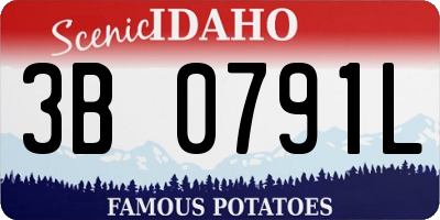 ID license plate 3B0791L