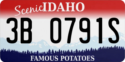 ID license plate 3B0791S