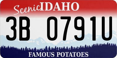 ID license plate 3B0791U