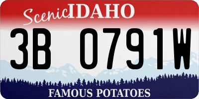 ID license plate 3B0791W