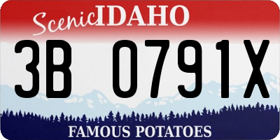 ID license plate 3B0791X