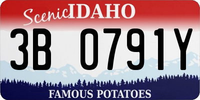 ID license plate 3B0791Y