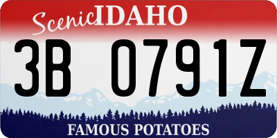 ID license plate 3B0791Z