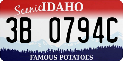 ID license plate 3B0794C