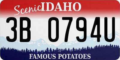 ID license plate 3B0794U