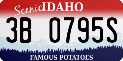 ID license plate 3B0795S
