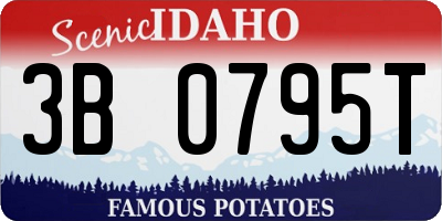 ID license plate 3B0795T