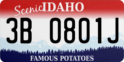 ID license plate 3B0801J