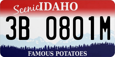 ID license plate 3B0801M